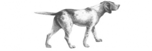 Picture 1