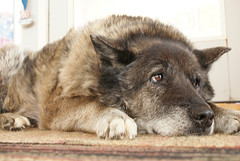 Submissive senior