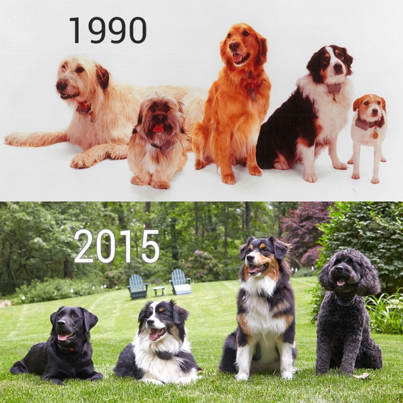 DogWatch Then & Now