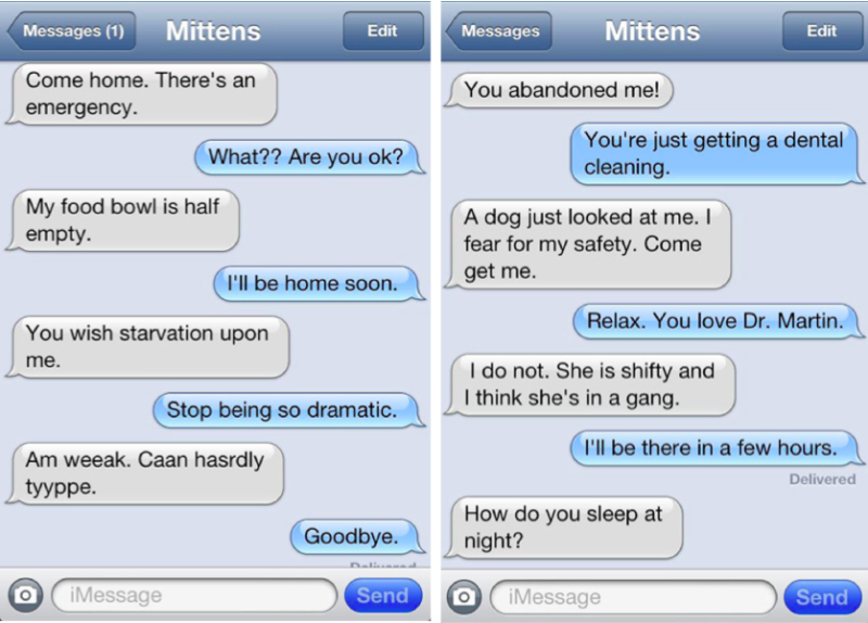 Texts From Mittens Screenshot
