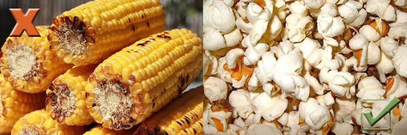 Corn on the Cob and Popcorn