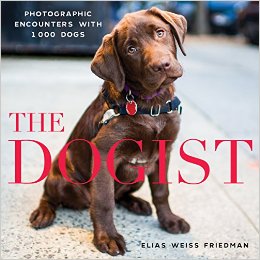 The Dogist book cover