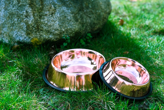 Copper Pet Bowls from CuBowl
