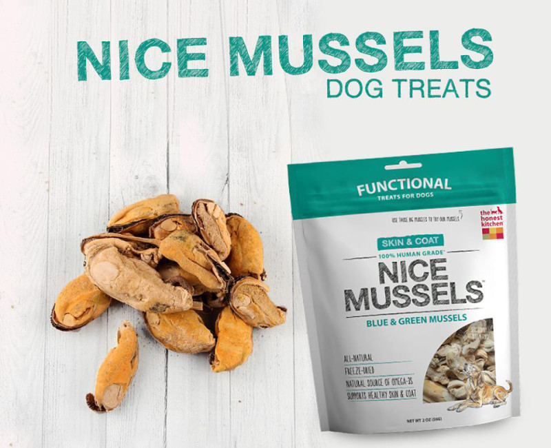 Nice Mussels Dog Treats from the Honest Kitchen