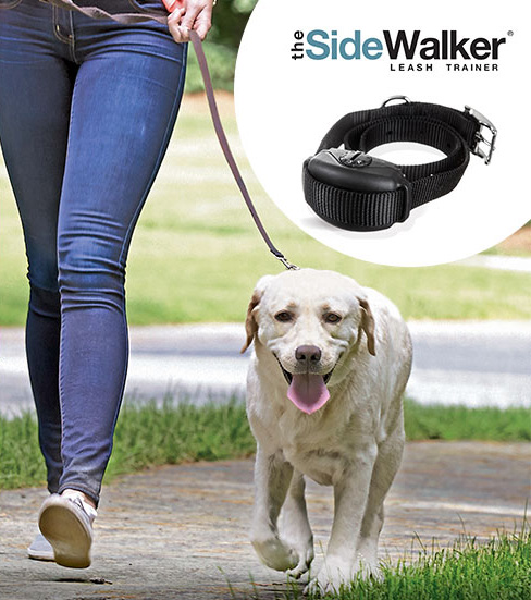 The SideWalker Leash Trainer from DogWatch Inc