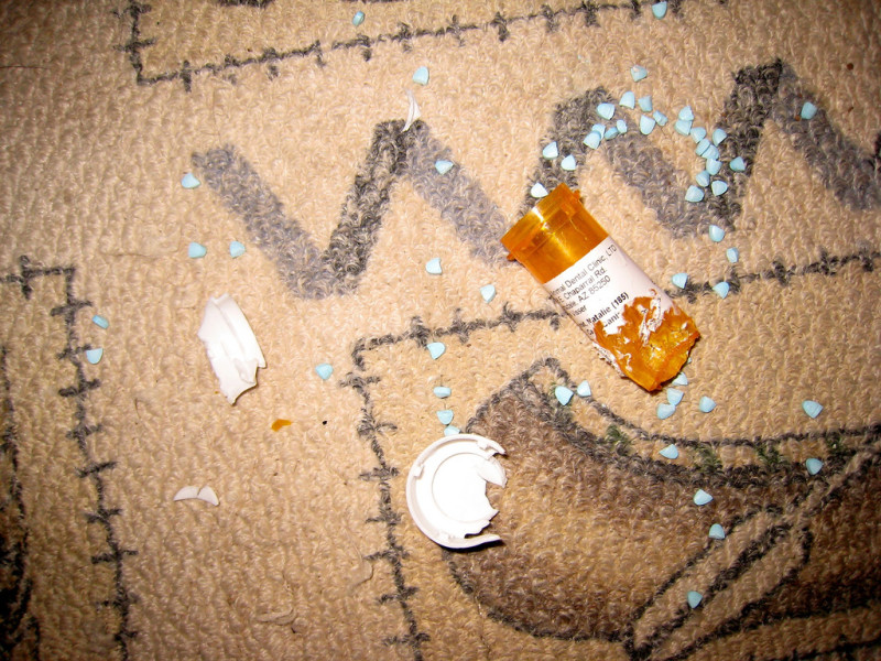 pill bottle chewed by dog, pills on floor