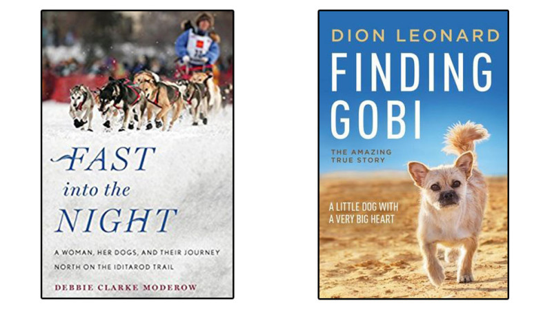 Book Covers: Fast Into the Night by Debbie Clarke Moderow and Finding Gobi by Dion Leonard