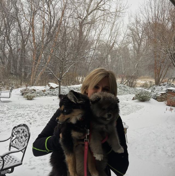Panda and Willow the Pomskies from Boise, ID
