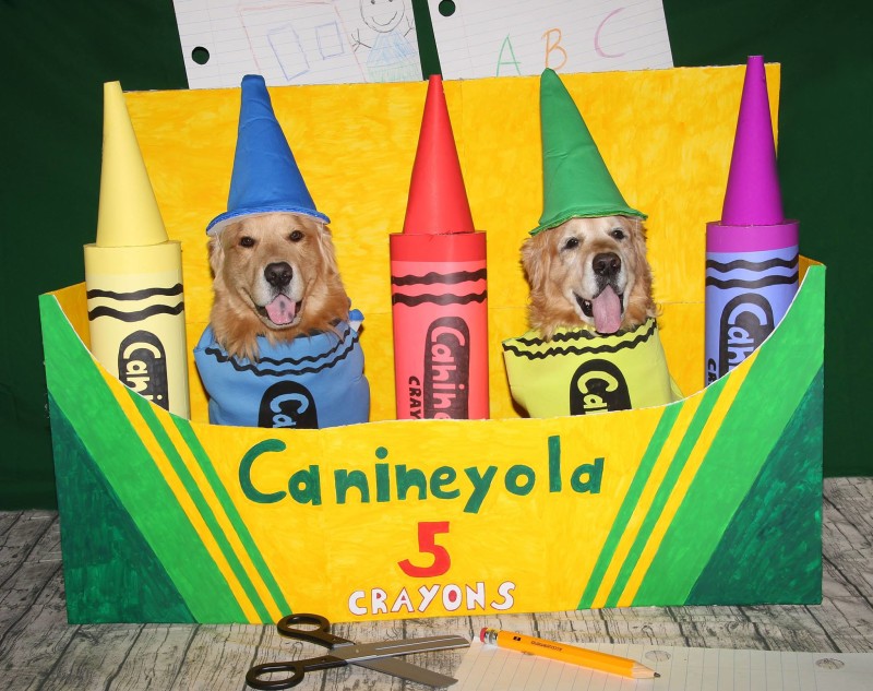 Phoenix and Gryphon as Canineyola Crayons by Bandb Abelew
