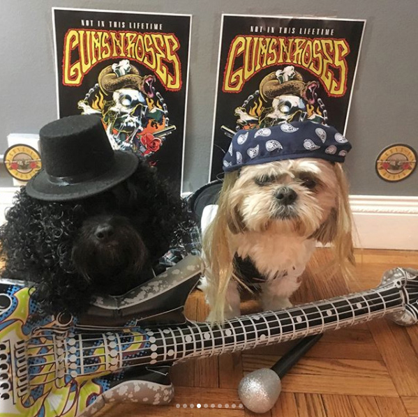 Slash and Axl aka Kingston and Bailey Photo by officialbrothersbrown via Instagram