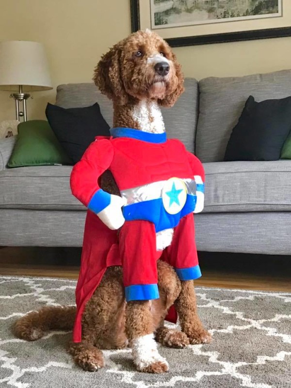 Valor the Doodle Superhero by Amber Knickman