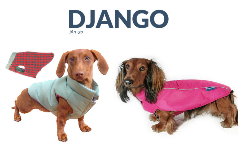 DJANGO Reversible Puffer Coat and CitySlicker Rain Jacket for Dogs