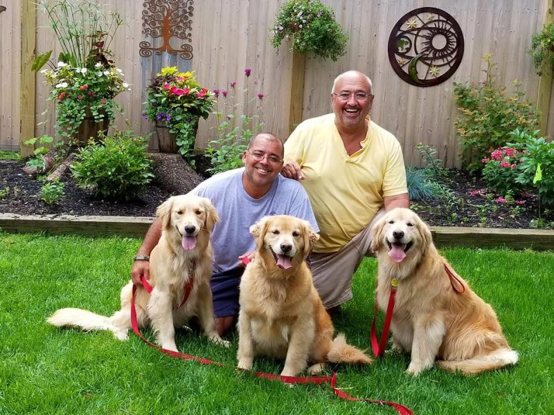 Golden Retrievers Savannah, Dakota and Jersey with owners Nelson and John of Cooperstown, NY