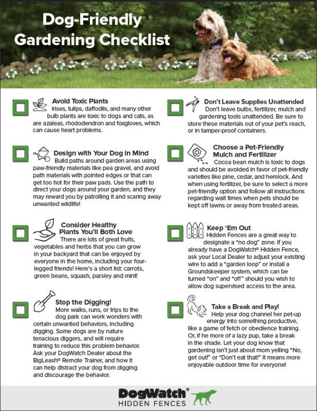 DogWatch's Dog-Friendly Gardening Checklist