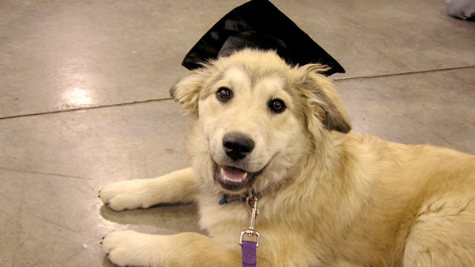Maya at Graduation