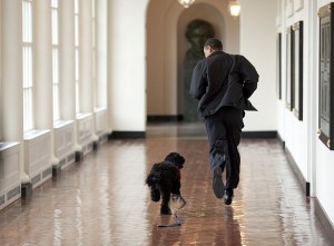 President Barack Obama and first puppy Bo race through the White House. White House photo.