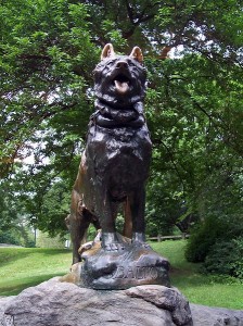 The statue of Balto erected in New York City's Central Park.