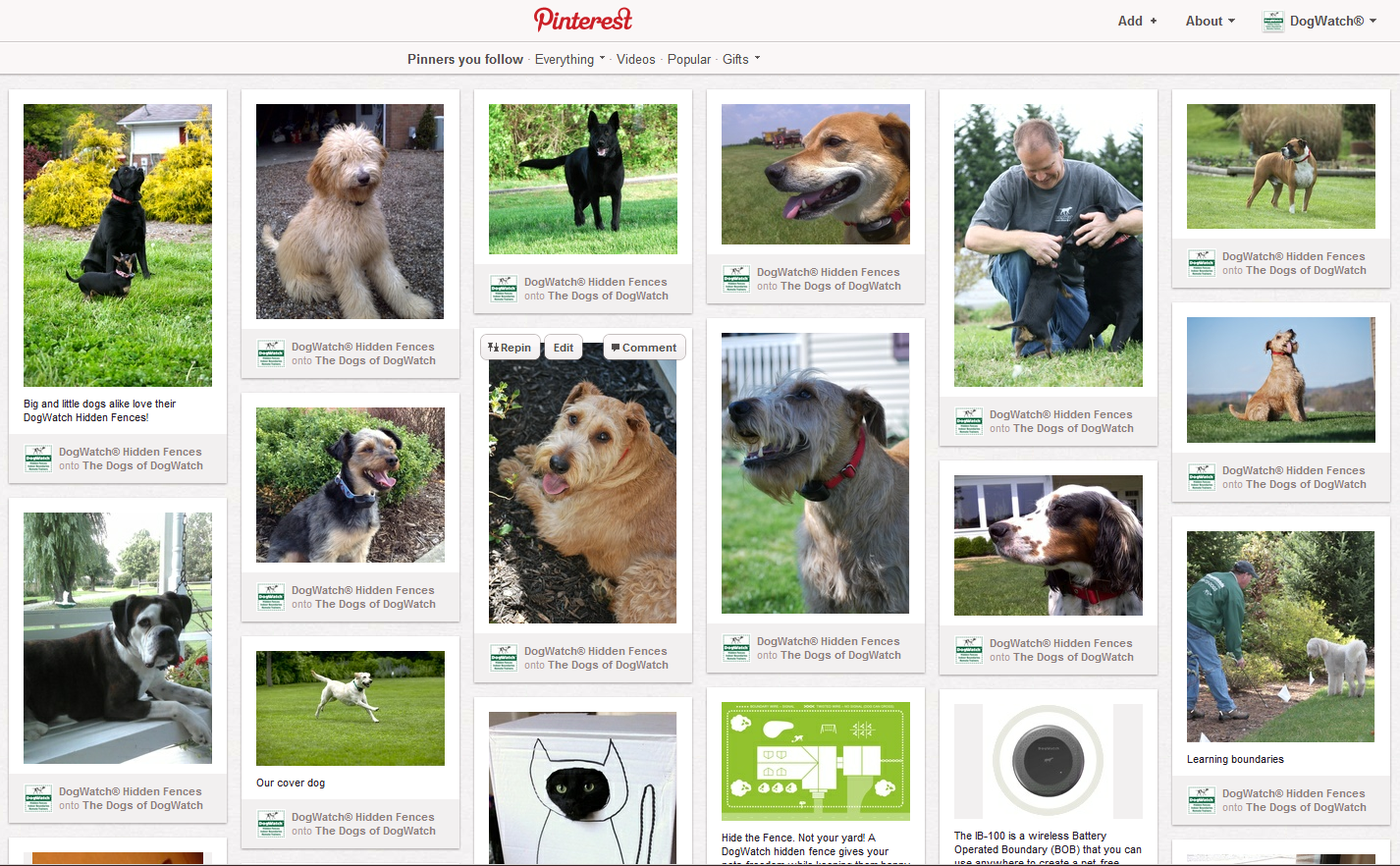 DogWatch's Pinterest Home Page