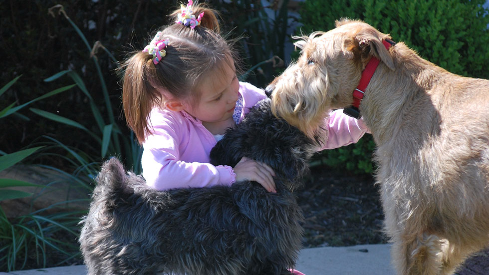 Young girl with two DogWatch dogs