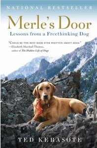 DogWatch Hidden Fences summer reading recommendation