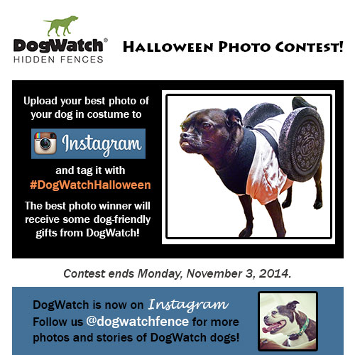DogWatch Instagram Halloween Contest