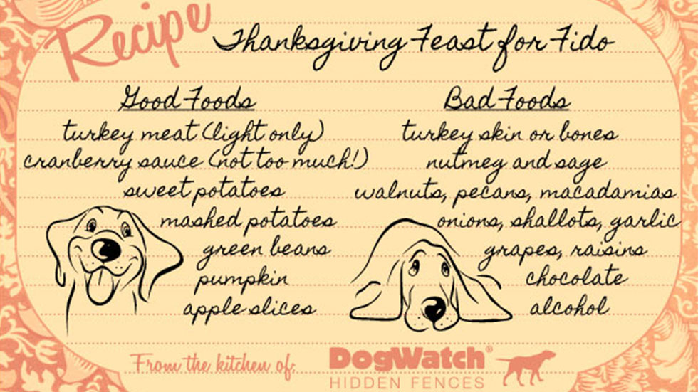 DogWatch's Thanksgiving Feast for Fido Recipe Card