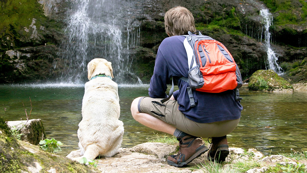 Man hiking at waterfall with yellow lab