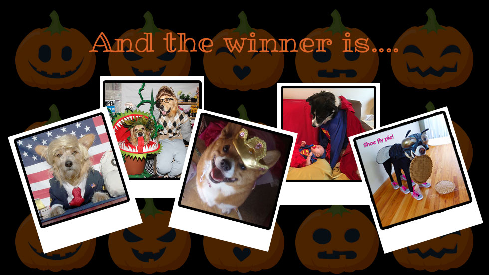 2015 Halloween Photo Contest Who Will Win