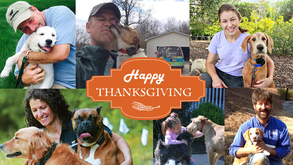 Happy Thanksgiving from DogWatch!