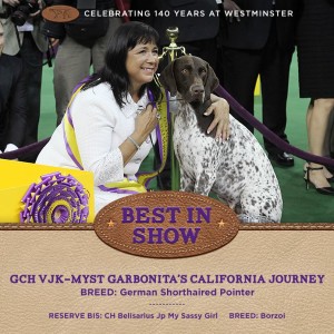 Best in Show WKC 2016 - Photo from Westminster Kennel Club Dog Show Facebook page