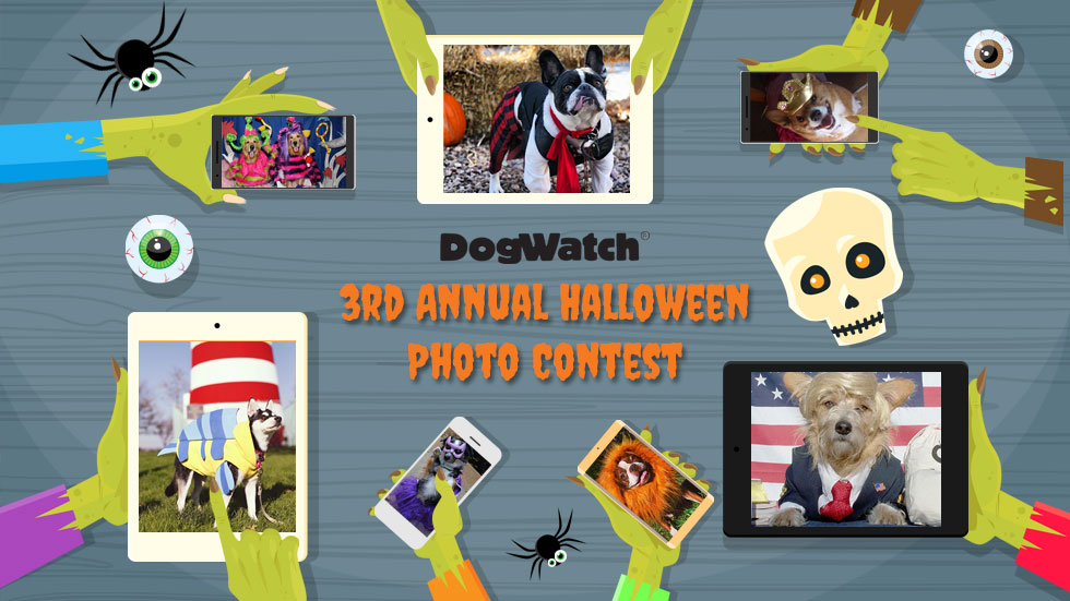 blog-featuredimg-halloweencontest2016 DogWatch's 2016 Halloween Photo Contest