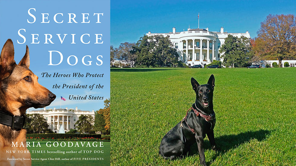 Secret Service book cover and Hurricane posing in front of the White House