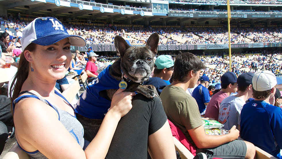 Woman in LA Dodgers cap with French bulldog in Dodgers jersey at Dodger Stadium