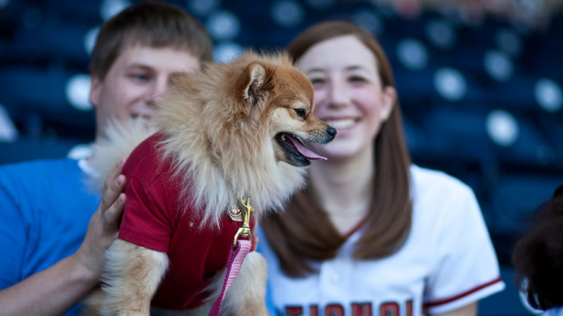 Young couple with Pomeranian at Washington Nationals game