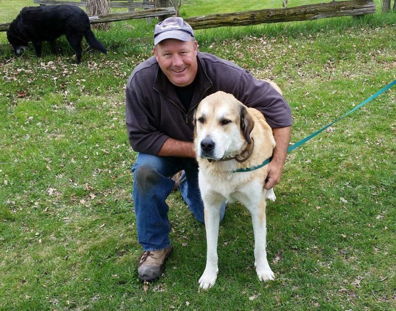 Tonka the Anatolian Shepherd with Keith Bailey of DogWatch of Southeastern Ontario