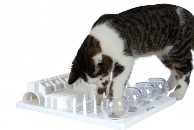 Trixie 5-in-1 Cat Activity Center