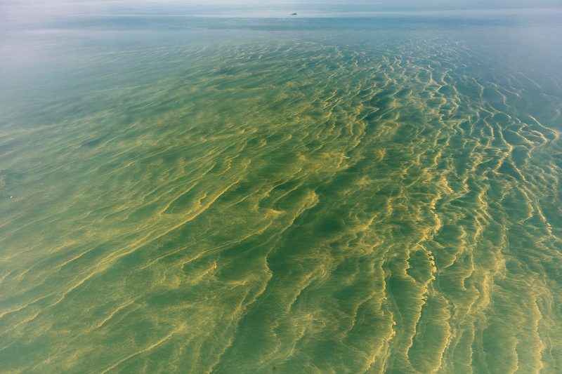 Harmful Algal Bloom in Western Basin of Lake Erie: July 2, 2018, (Photo Credit: Aerial Associates Photography, Inc. by Zachary Haslick)