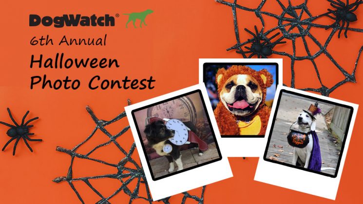 DogWatch Halloween Photo Contest 2019