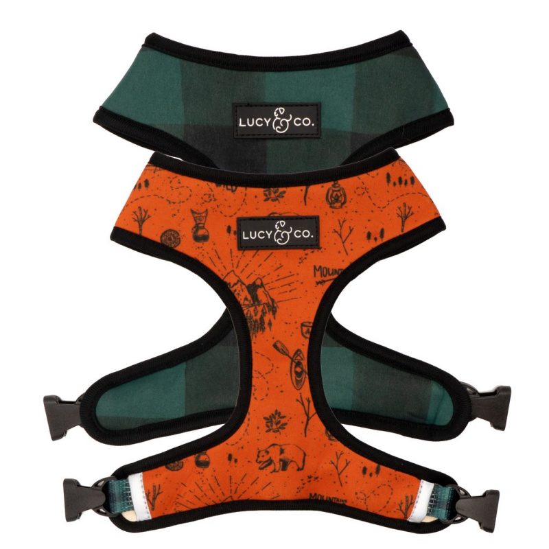 The Let's Adventure Reversible Harness from Lucy & Co.