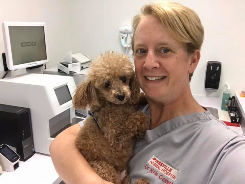 Dr. Kris Covert - Pikesville Animal Hospital with toy poodle patient