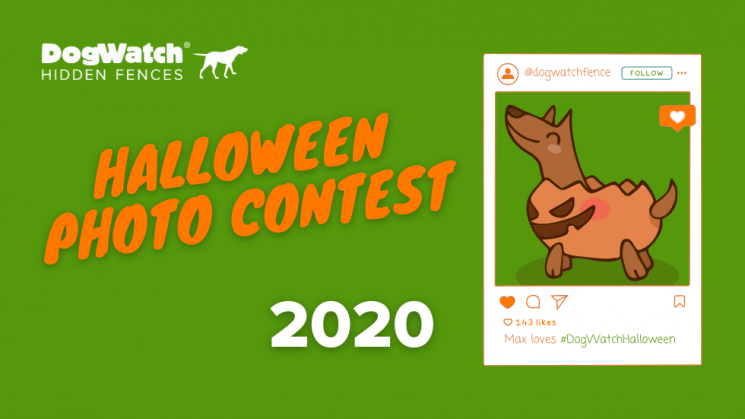 DogWatch Halloween Photo Contest 2020