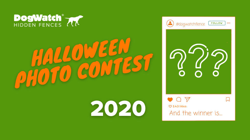 Here are the Winners of the 2020 DogWatch Halloween Photo Contest