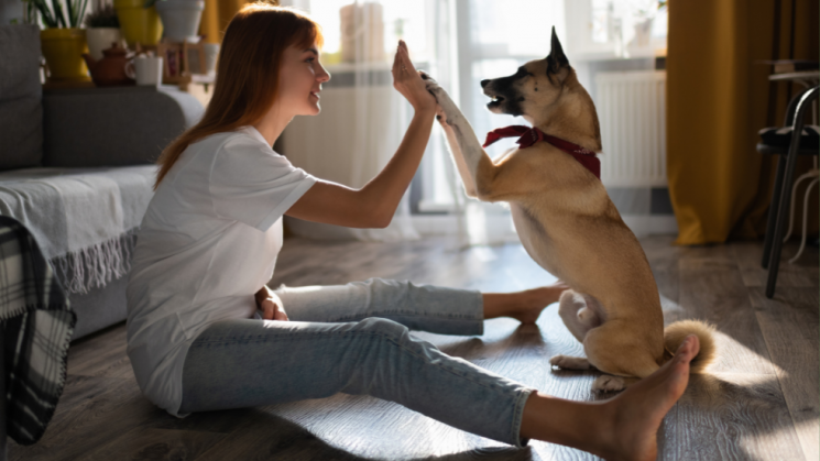 dog and owner, Four-Legged Family Members: 5 Major Benefits Of Owning A Dog