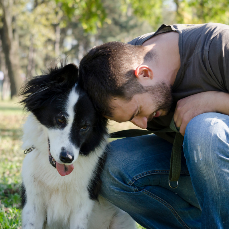 dog and owner, Four-Legged Family Members: 5 Major Benefits Of Owning A Dog
