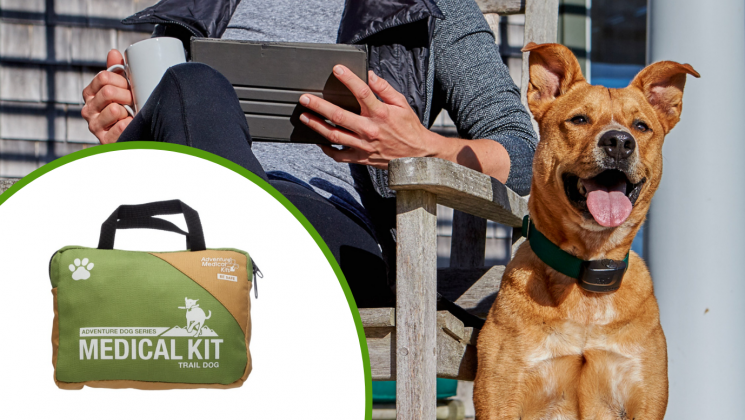DW Blog Featured Image Kit Giveaway Pet First Aid Kit Giveaway