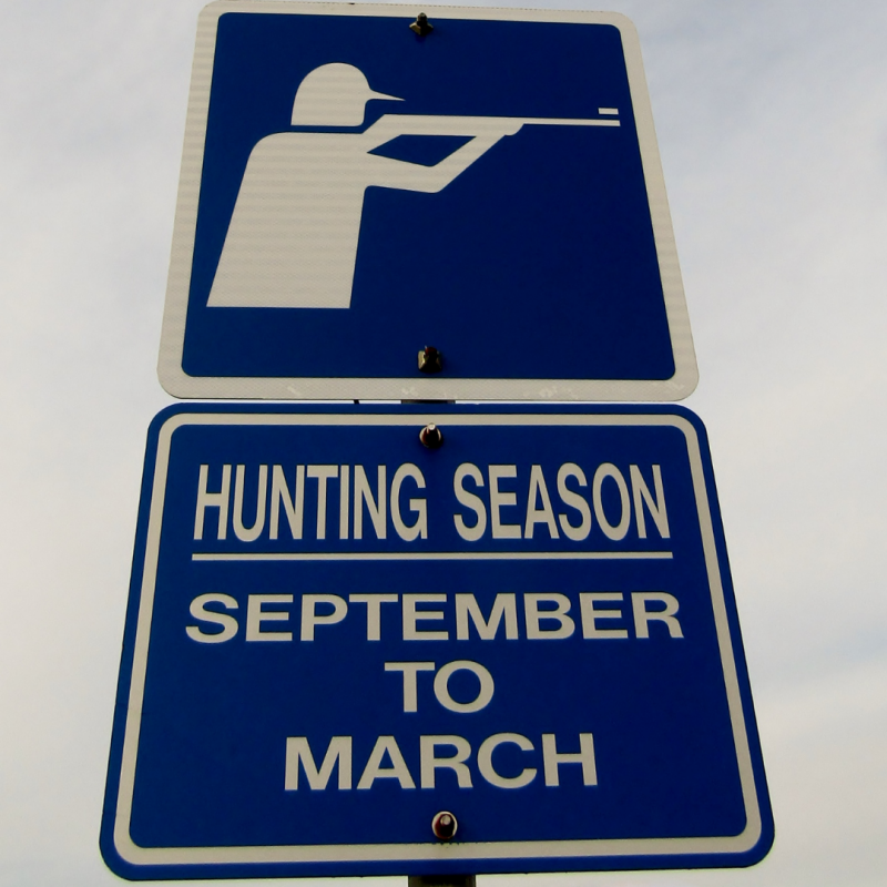 Hunting season sign, How You Can Keep Your Dog Safe During Hunting Season