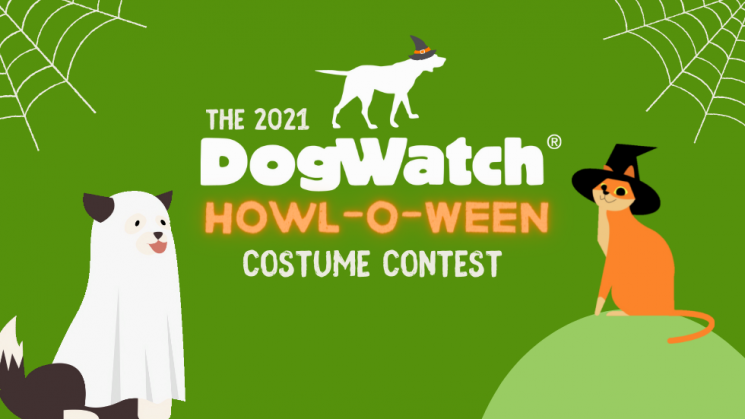 10.28_HalloweenCostumeContestEmail (1)