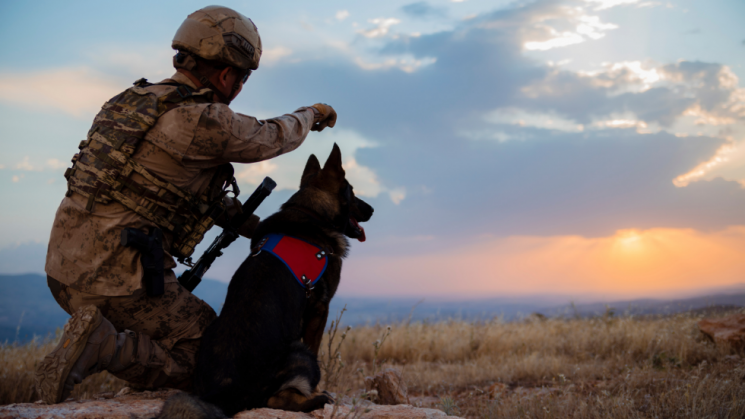 soldier and dog, k9 veterans day
