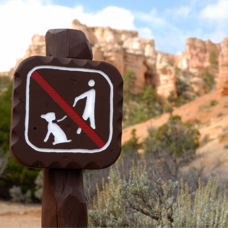 Dogs not allowed sign, Dog On Hike, Taking A Hike: How To Keep Your Dog Safe While On The Trail