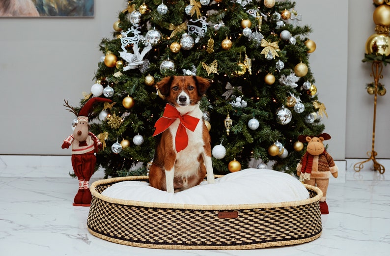 dog on bed, dog bed, holiday gift guide
